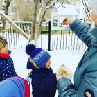 “Құстар -біздің досымыз” акциясы