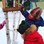 “Құстар -біздің досымыз” акциясы