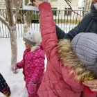 Наблюдение за птицами зимой. 