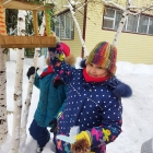 Наблюдение за птицами зимой. 