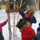 Наблюдение за птицами зимой. 