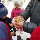 Наблюдение за птицами зимой. 