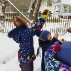 Наблюдение за птицами зимой. 