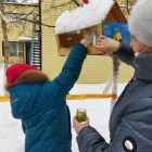 Наблюдение за птицами зимой. 