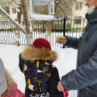 Наблюдение за птицами зимой. 